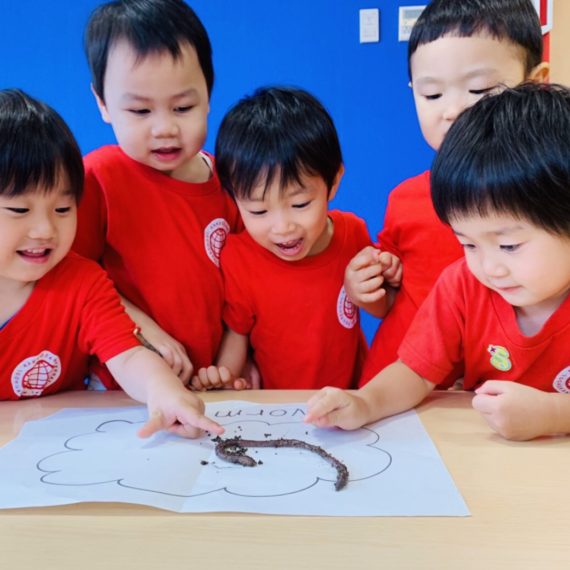 ミミズがプリスクールにやってきた！！